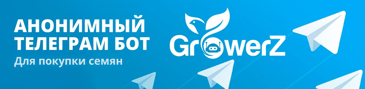 Телеграм бот GrowerZ купить семена конопли